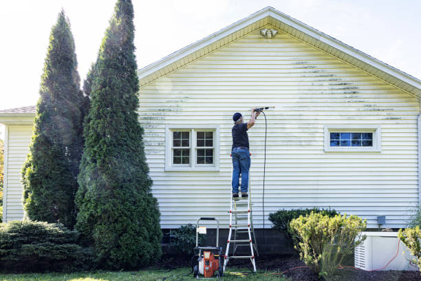 Best Affordable Pressure Washing  in Nappanee, IN