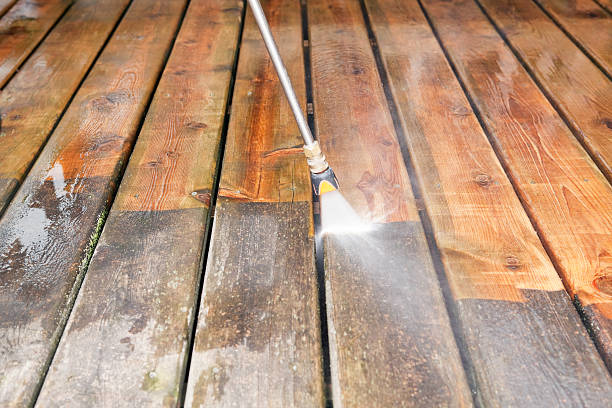 Best Residential Pressure Washing Services  in Nappanee, IN